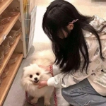 莉比小公主之梦幻学院破解版下载